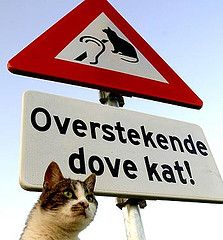 4b14aaf82346431a8eeb4495b880e65e