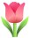tulip-emoji-icon-cute-pink-flower-isolated-vector-illustration-175150405